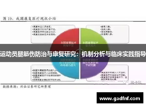 运动员腿筋伤防治与康复研究：机制分析与临床实践指导